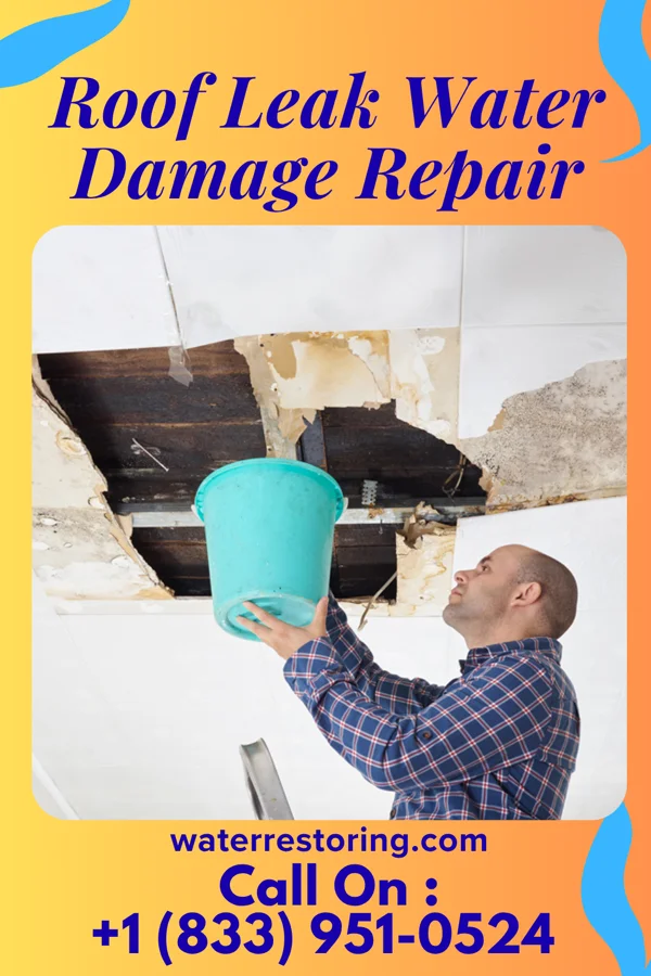 Roof Leak Water Damage Repair in Ortley, SD